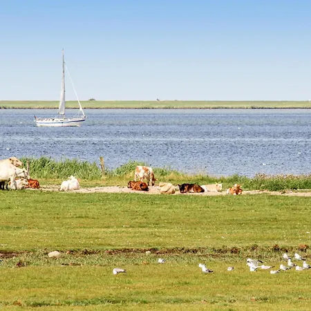 Amazing In Ostseeresort * Olpenitz